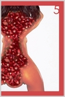 chimericana bizarro novella review