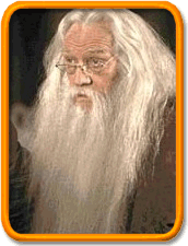 dumbledore harry potter