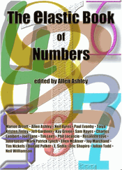 elastic book of numbers review