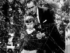 the fly dvd review