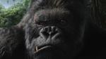 king kong peter jackson download dvd