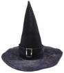 wicked witch hat