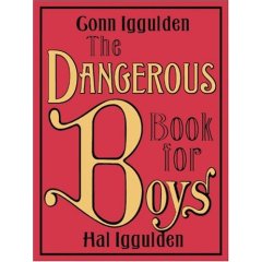 dangerous book review