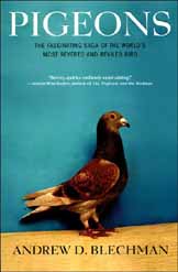 pigeons review