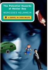 potential hazards review